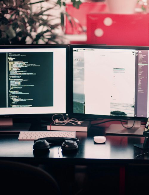 Web development